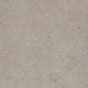 D2831 TO Natural Concrete