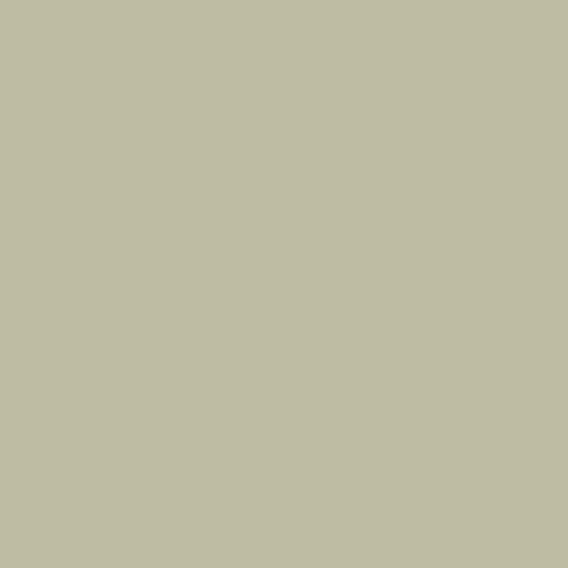 u638 EGGER U638 ST9 Sage Green