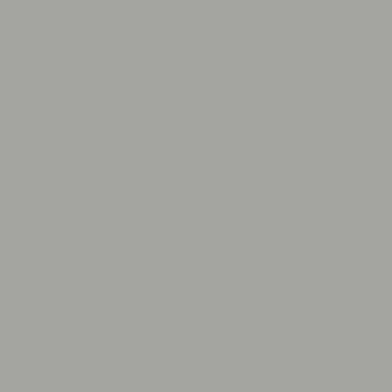 0197 0197 Chinchilla Grey