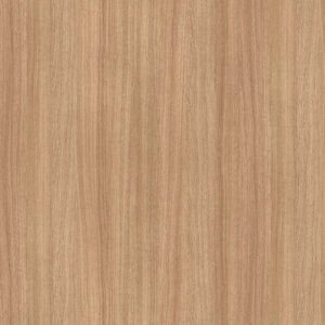 5501 Slavonia Oak