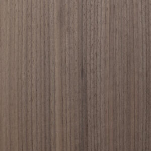 ΑΜΕΡΙΚΑΝΙΚΗ ΚΑΡΥΔΙΑ