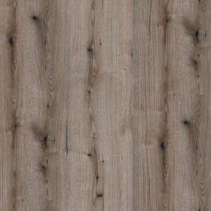 K366 Fossil Evoke Oak